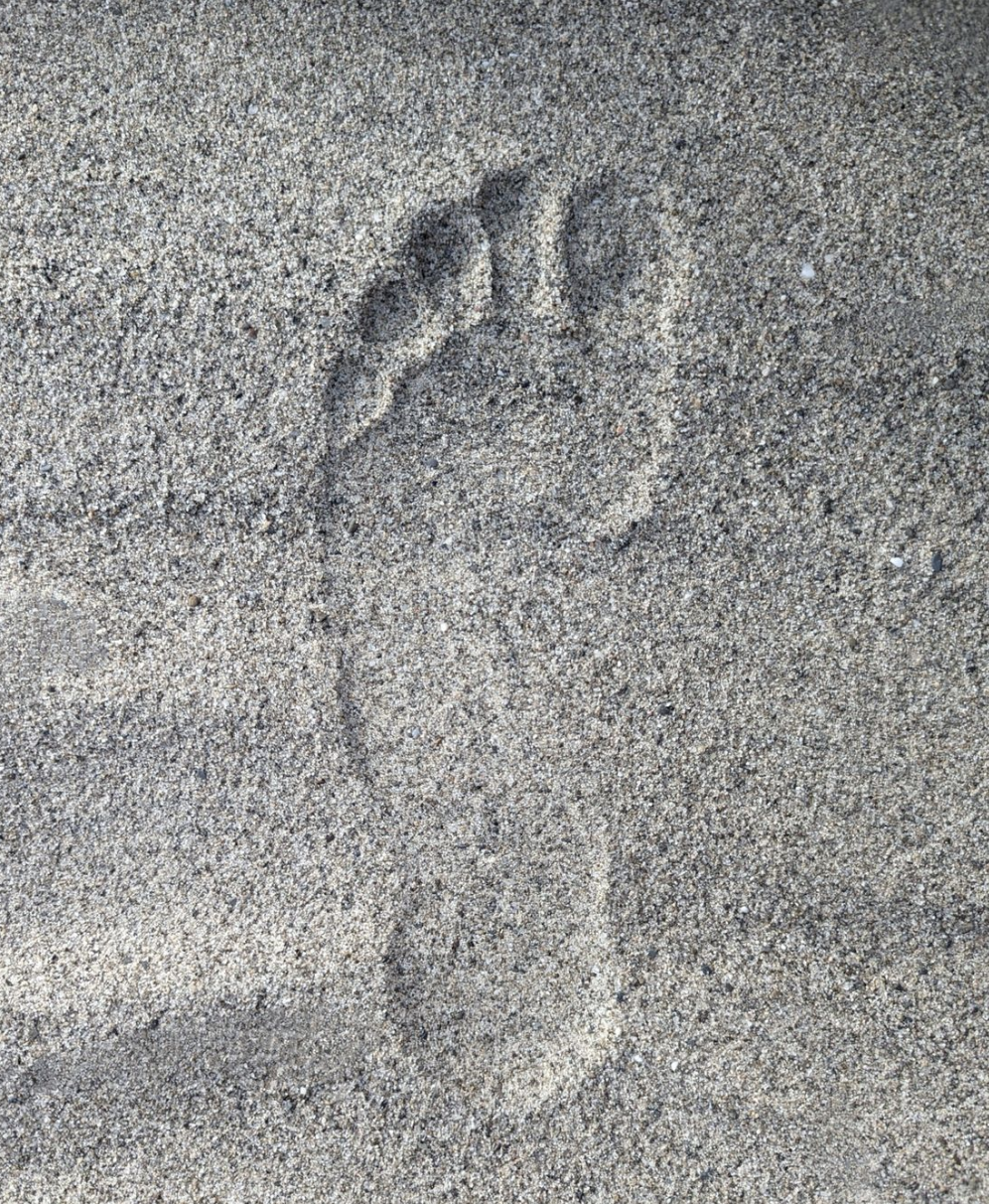 Step Into Wellness: How the Right Footwear Supports Your Mental Health
