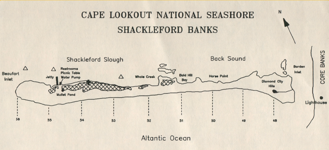Back to Shack